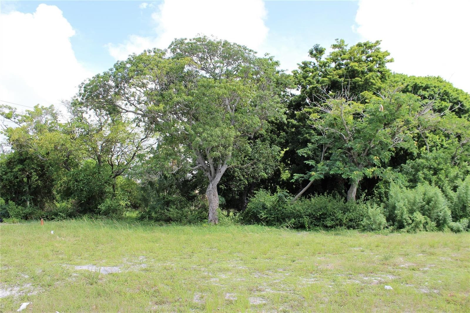583 S Dixie Highway, Deerfield Beach, FL 33441 photo 6