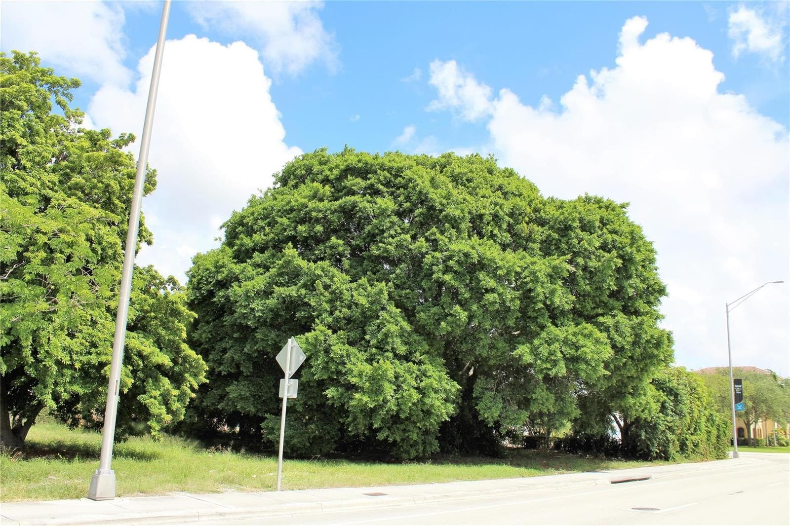 583 S Dixie Highway, Deerfield Beach, FL 33441 photo 7