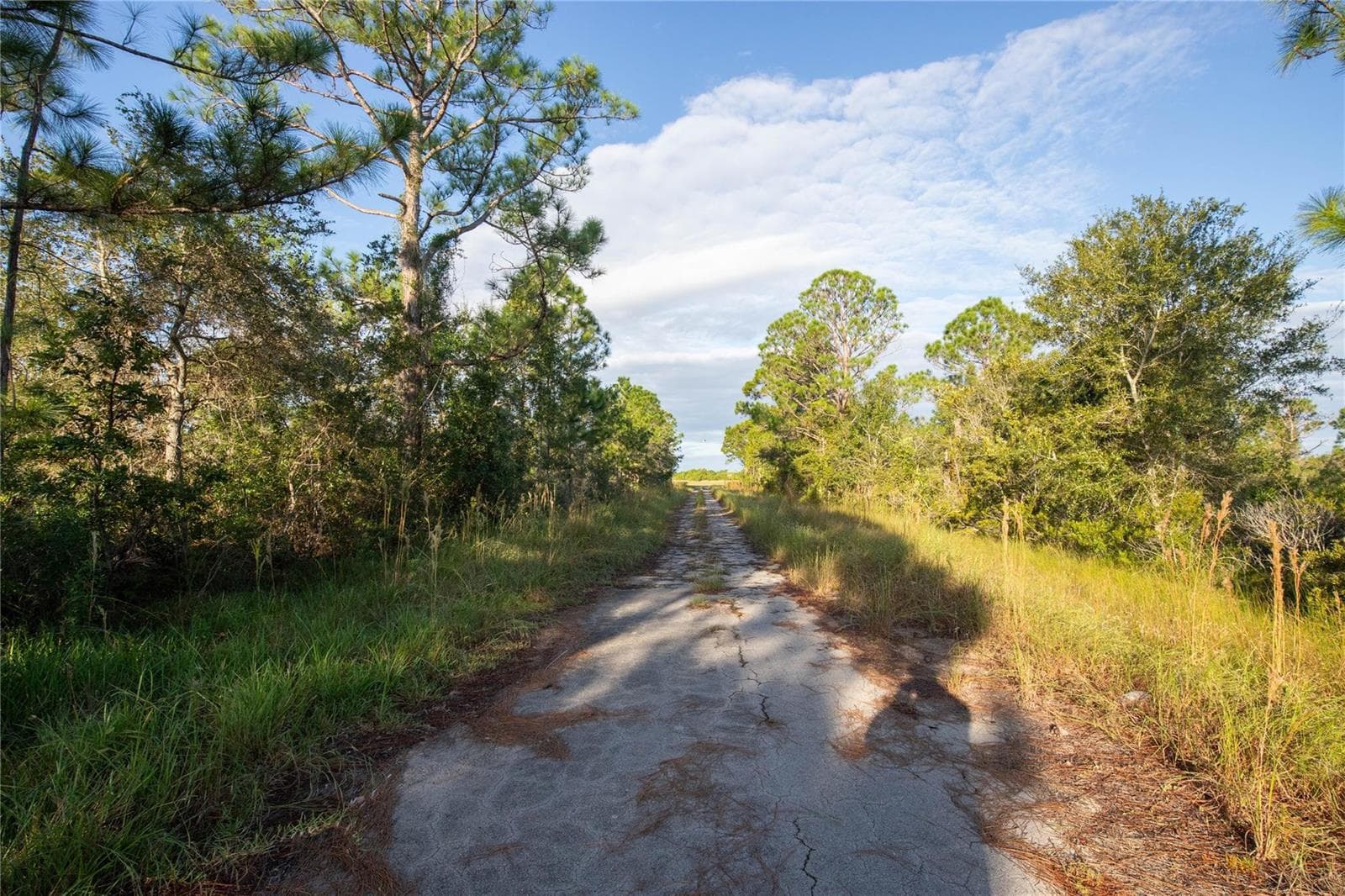 754 American Street, Lake Placid, FL 33852 photo 6