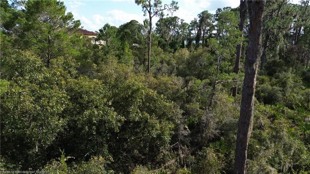 3029 Hawks Landing Circle, Sebring, FL 33875 photo 13