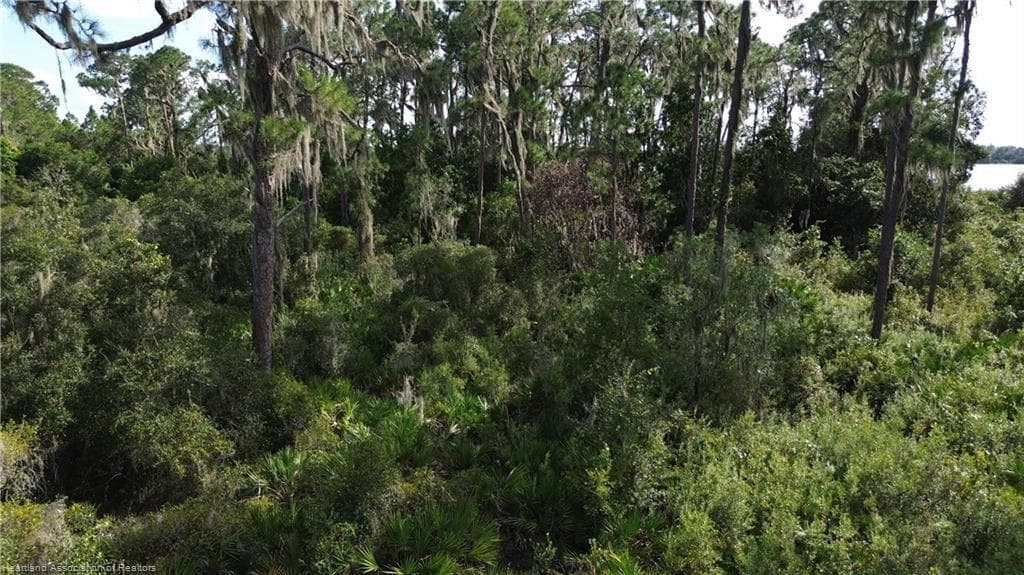 3029 Hawks Landing Circle, Sebring, FL 33875 photo 12