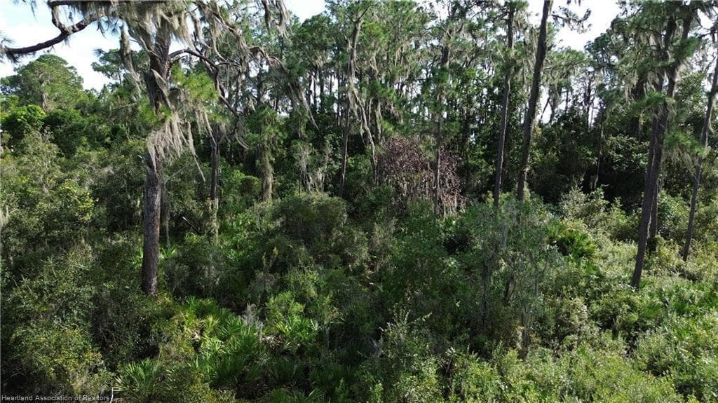 3029 Hawks Landing Circle, Sebring, FL 33875 photo 7