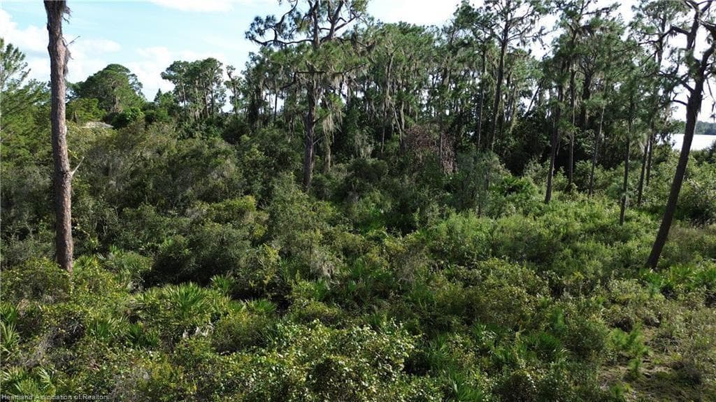 3029 Hawks Landing Circle, Sebring, FL 33875 photo 8