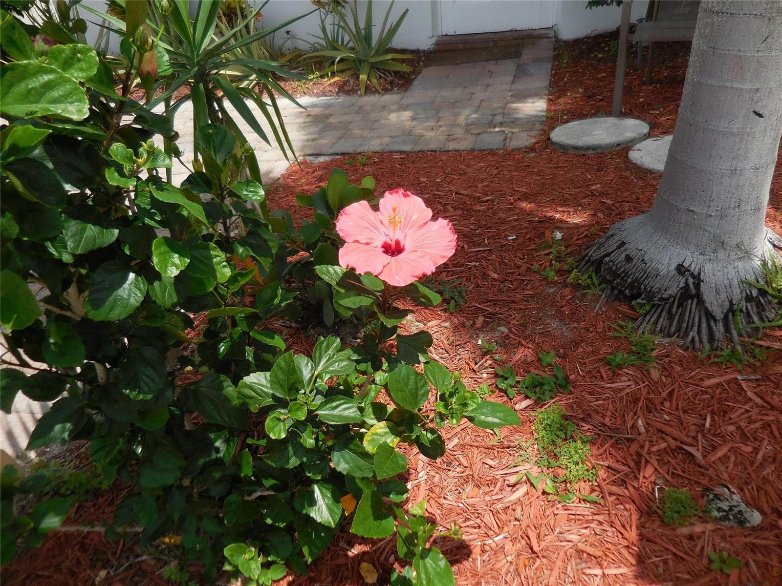 3050 NW 1st Avenue, Pompano Beach, FL 33064 photo 9