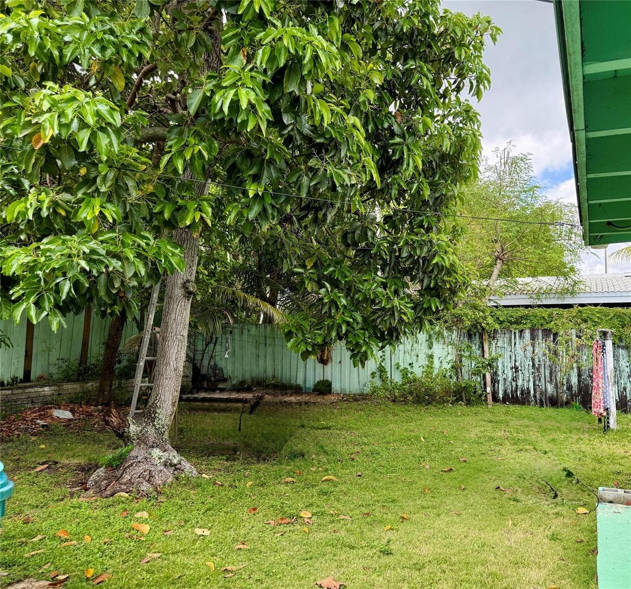 430 NE 75th Street, Miami, FL 33138 photo 8