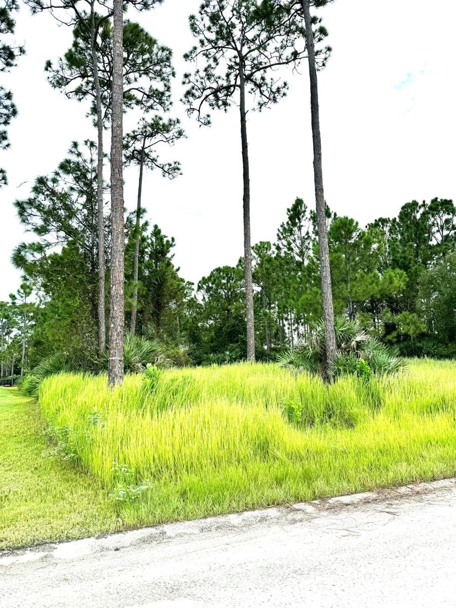 10615 Sugar Pine Drive, Fort Pierce, FL 34945 photo 11