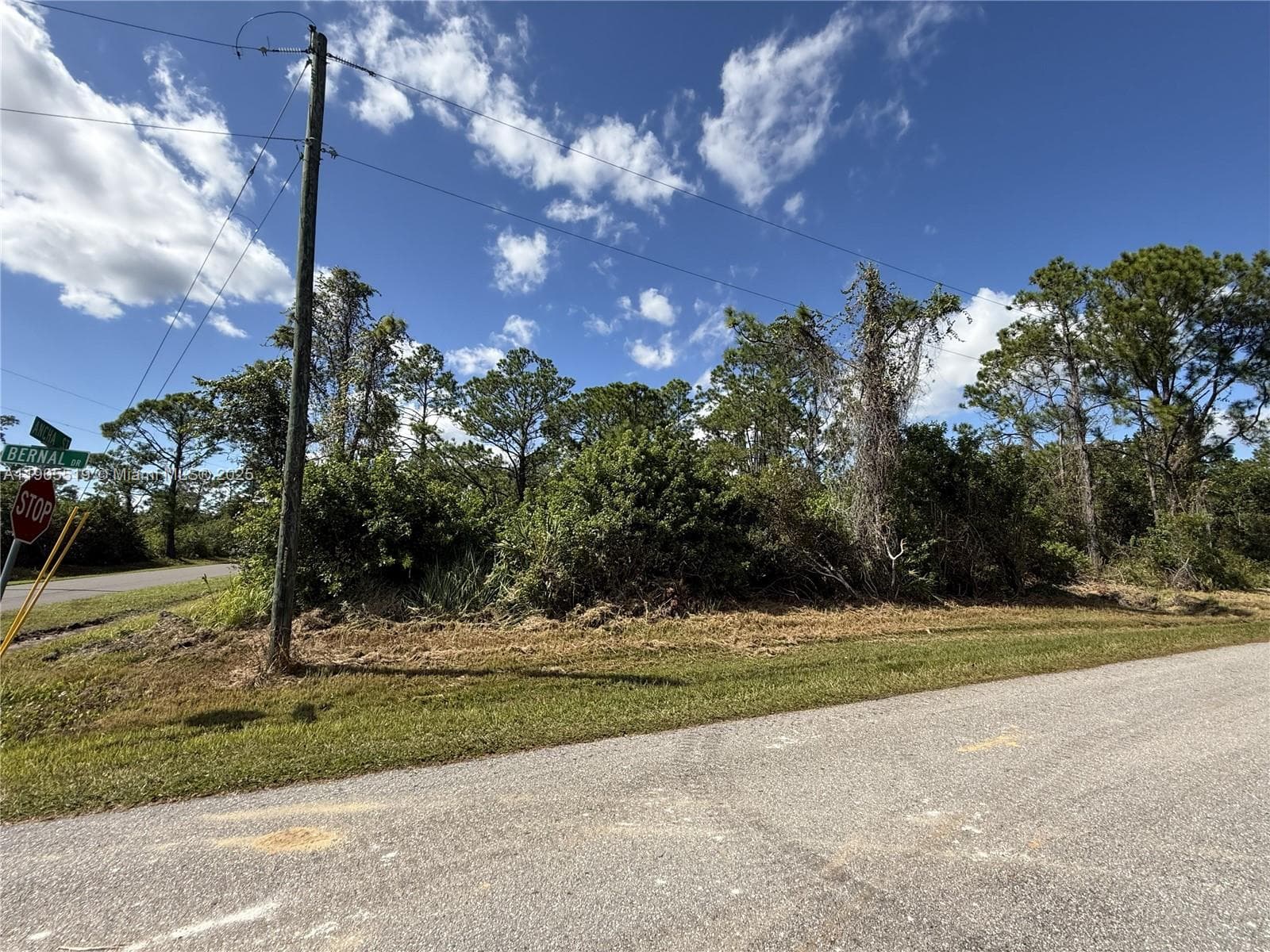 7538 Bernal Drive, Sebring, FL 33872 photo 9