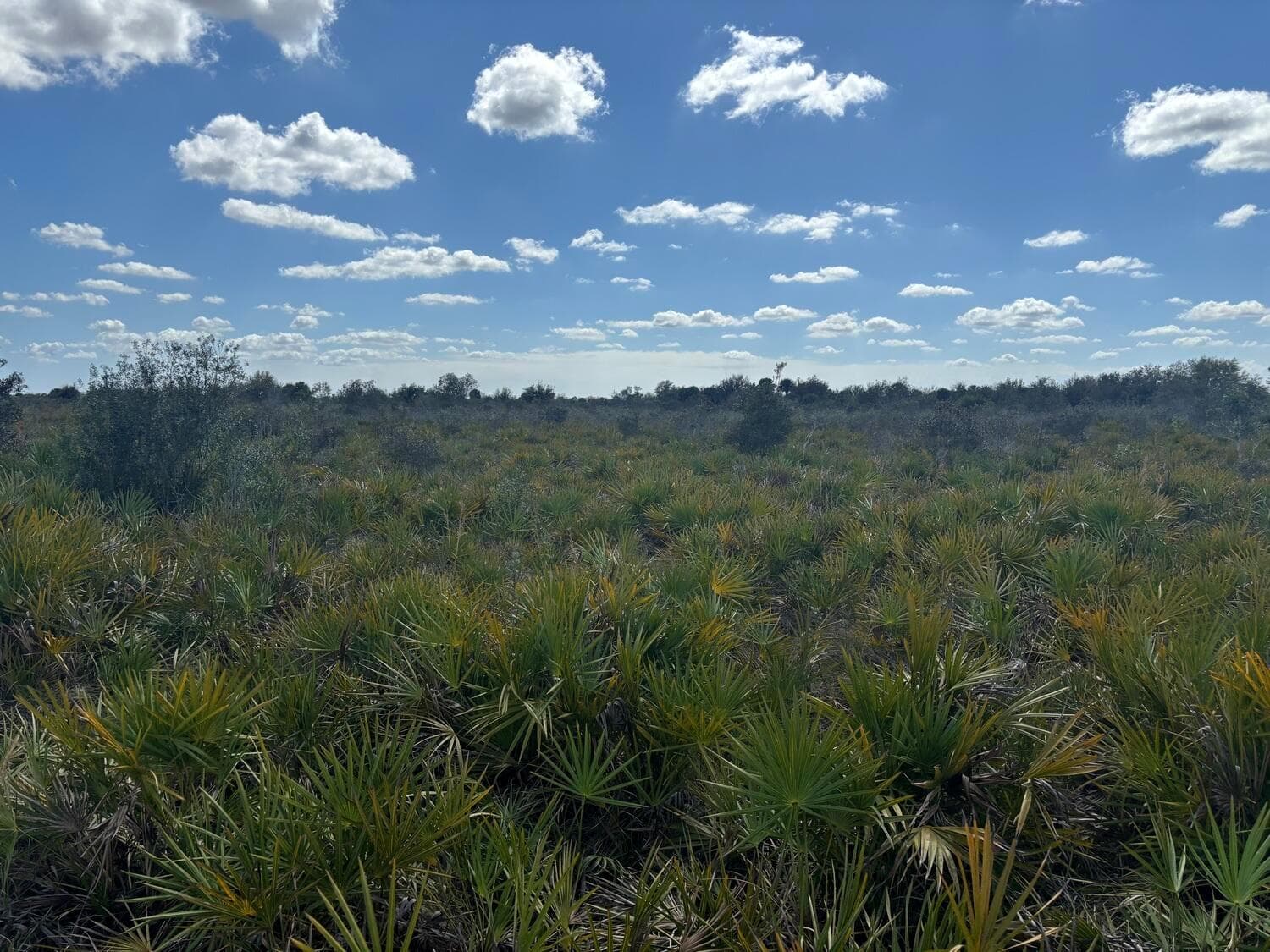 0 313th Street, Okeechobee, FL 34972 photo 6