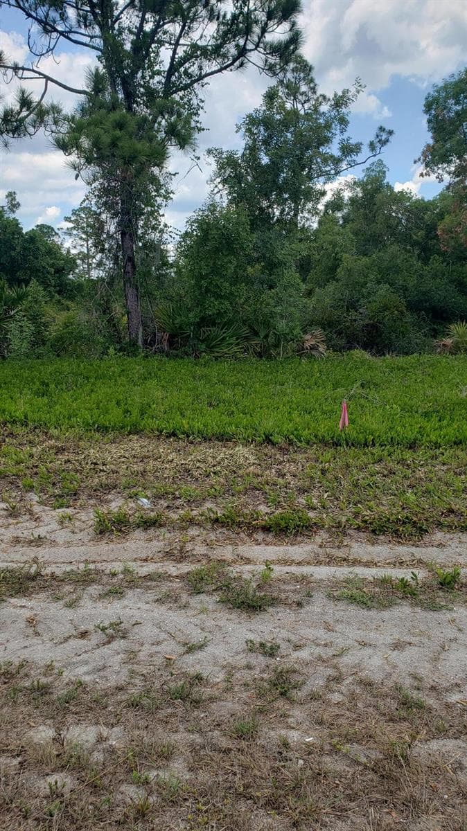 932 Island Parkway NE, Lake Placid, FL 33852 photo 8