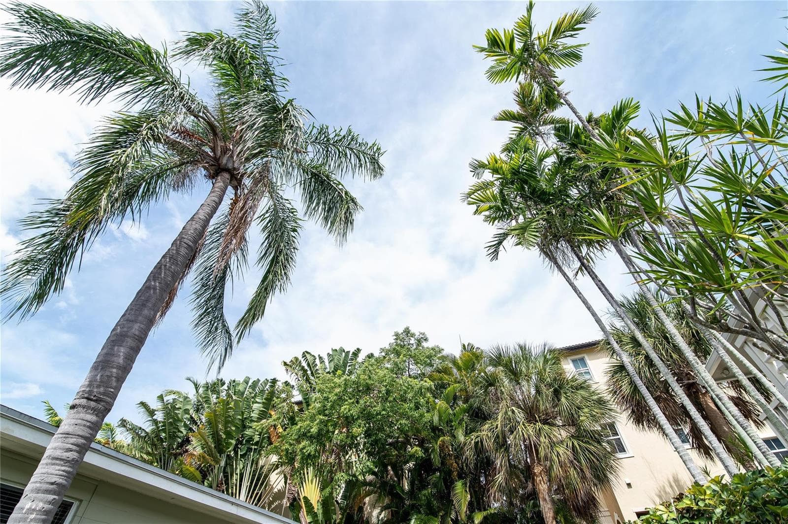 3230 NE 13th Street # 203, Pompano Beach, FL 33062 photo 8
