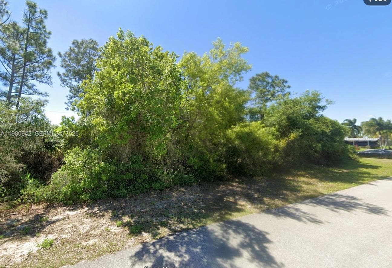 235 Deerwalk Ave, Lake Placid, FL 33852 photo 6