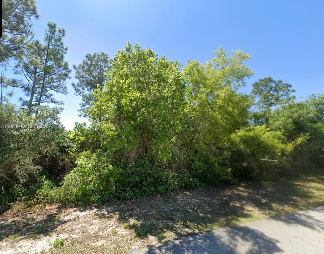 235 Deerwalk Ave, Lake Placid, FL 33852 photo 9