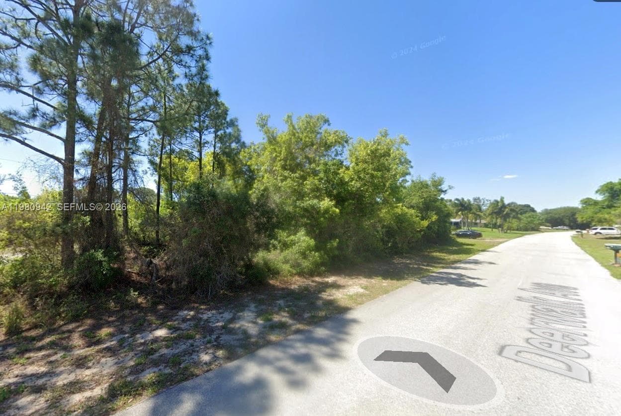 235 Deerwalk Ave, Lake Placid, FL 33852 photo 8