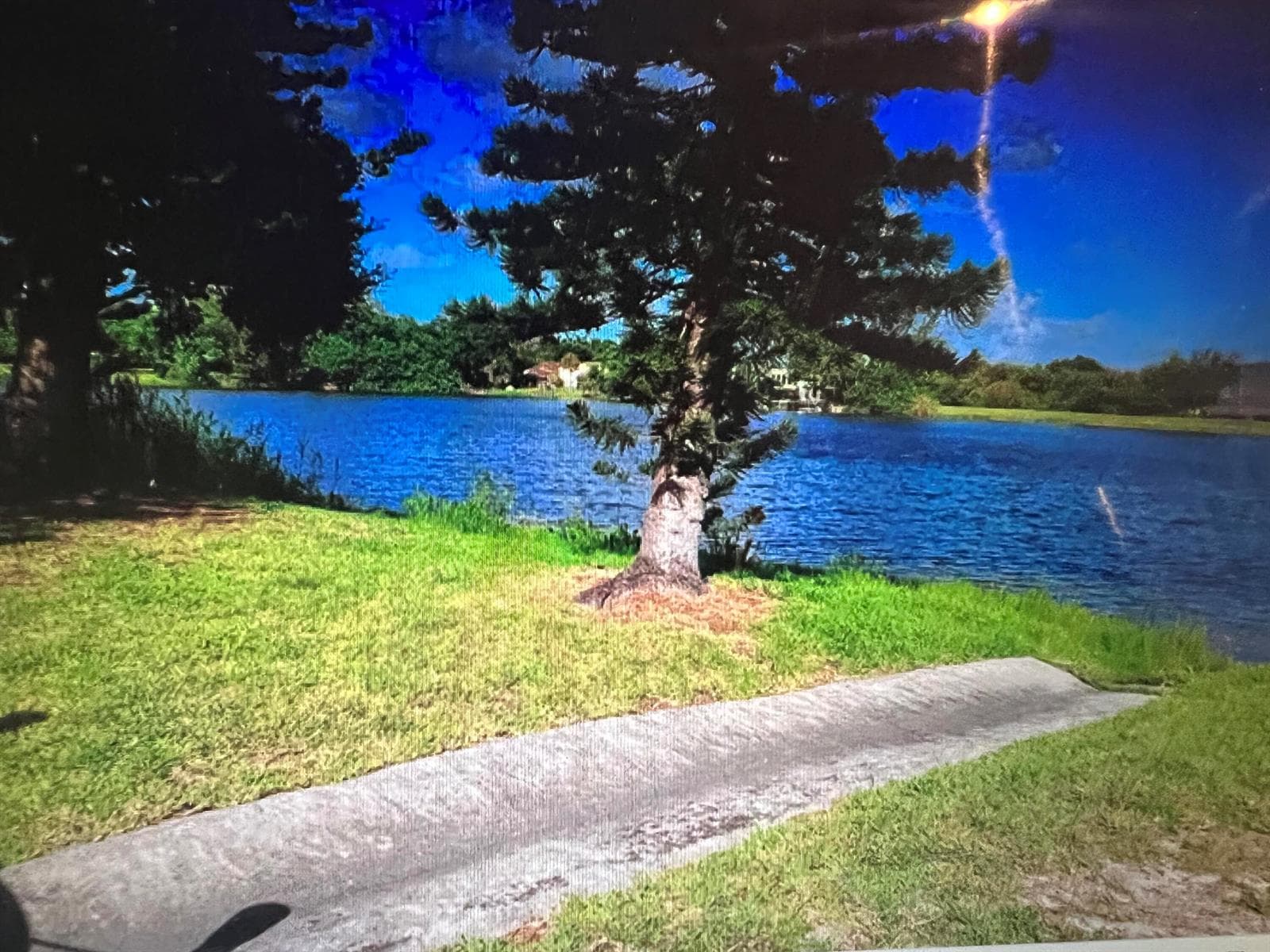 3330 Spanish Moss Terrace # 406, Lauderhill, FL 33319 photo 10