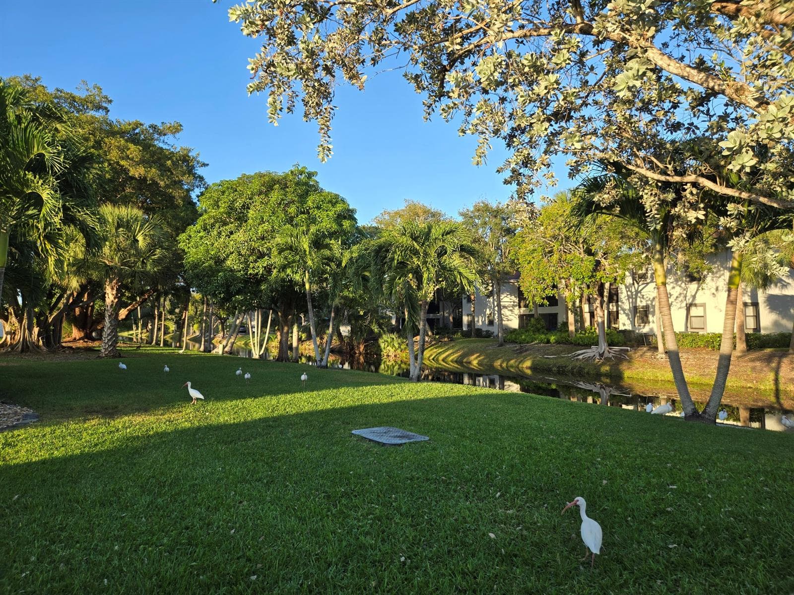 1320 NW 82nd Avenue, Plantation, FL 33322 photo 8