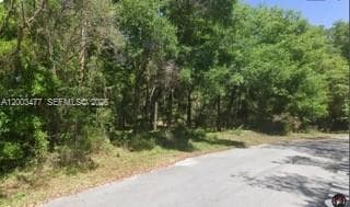 0 SW SW 97 PL, Dunnellon, Ocala, FL 34432 photo 13