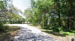 0 SW SW 97 PL, Dunnellon, Ocala, FL 34432 photo 10