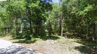 0 SW SW 97 PL, Dunnellon, Ocala, FL 34432 photo 11
