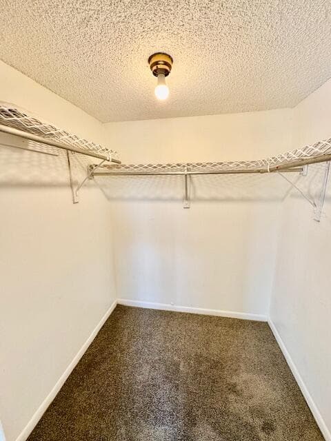3300 Spanish Moss Terrace # 302, Lauderhill, FL 33319 photo 13