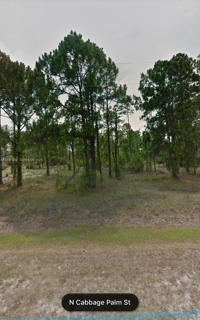 470 N Cabbage Palm St, Clewiston, FL 33440 photo 2