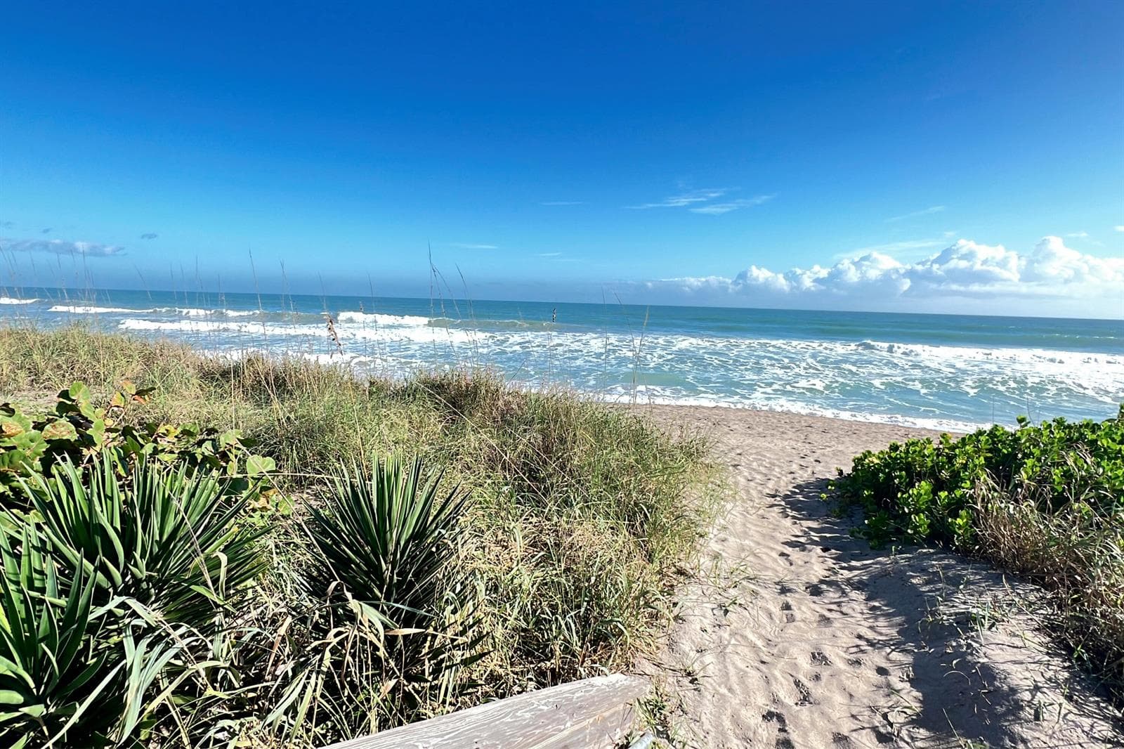 3541 NE Ocean Boulevard NE # 15, Hutchinson Island, FL 34957 photo 8