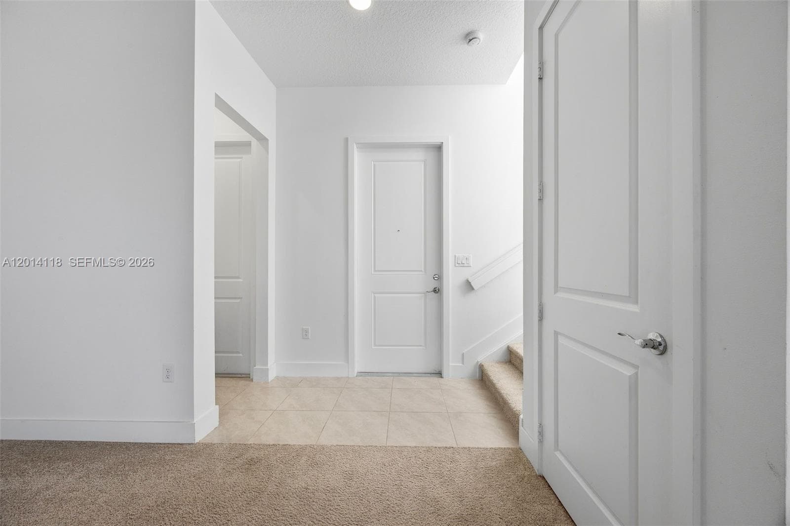 5023 OFANTO, Ave Maria, FL 34142 photo 11