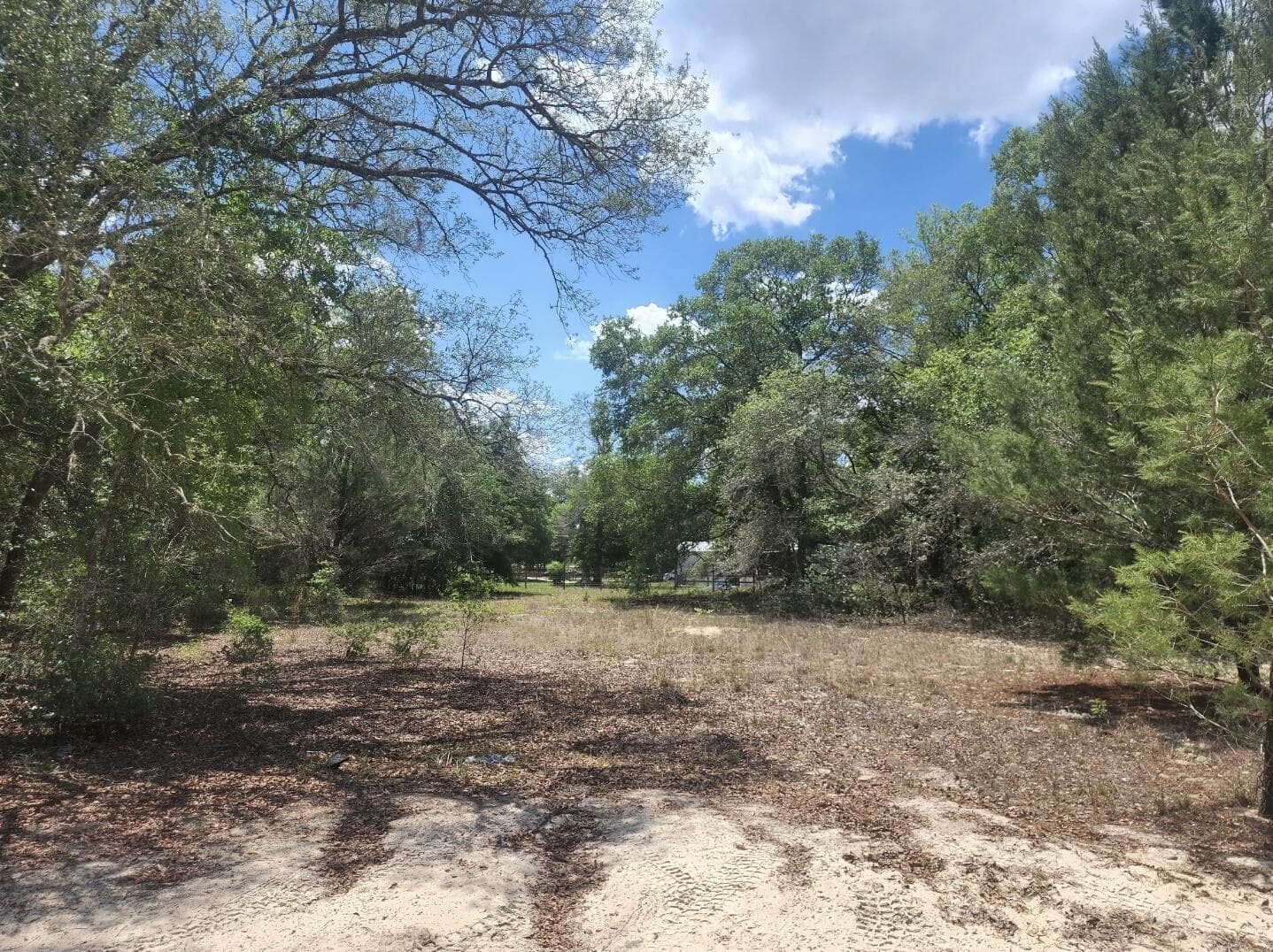 3207 Lich Street, Port Charlotte, FL 33980 photo 2