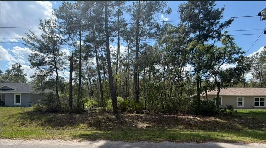 70 Malauka Pass Course, Other City - In The State Of Florida, FL 32179 photo 6