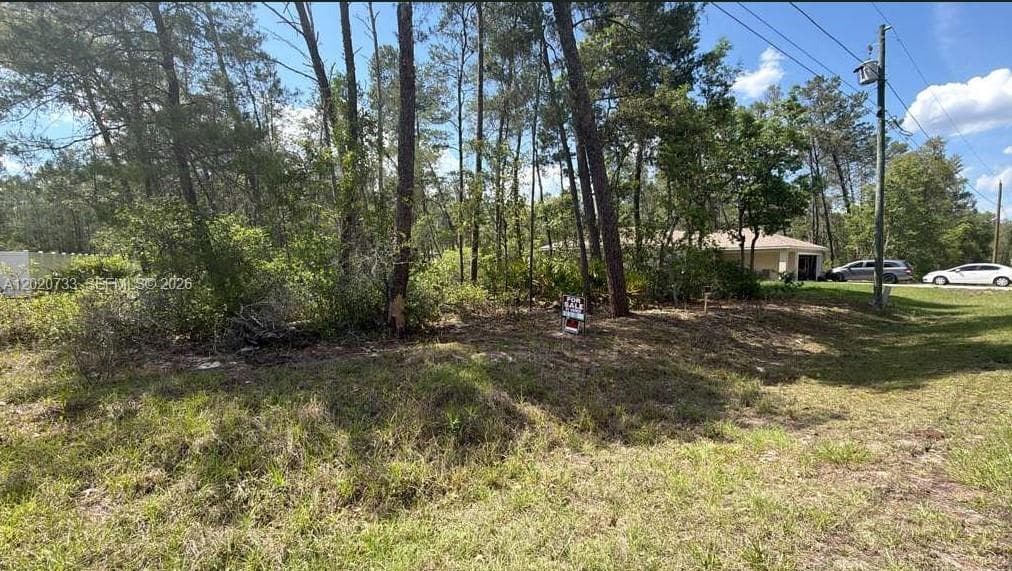 70 Malauka Pass Course, Other City - In The State Of Florida, FL 32179 photo 12