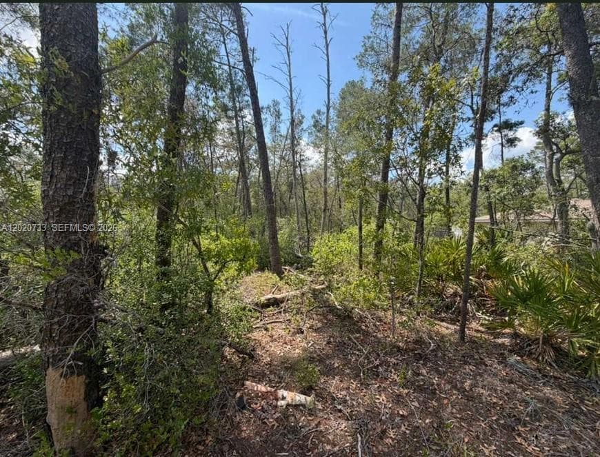 70 Malauka Pass Course, Other City - In The State Of Florida, FL 32179 photo 10