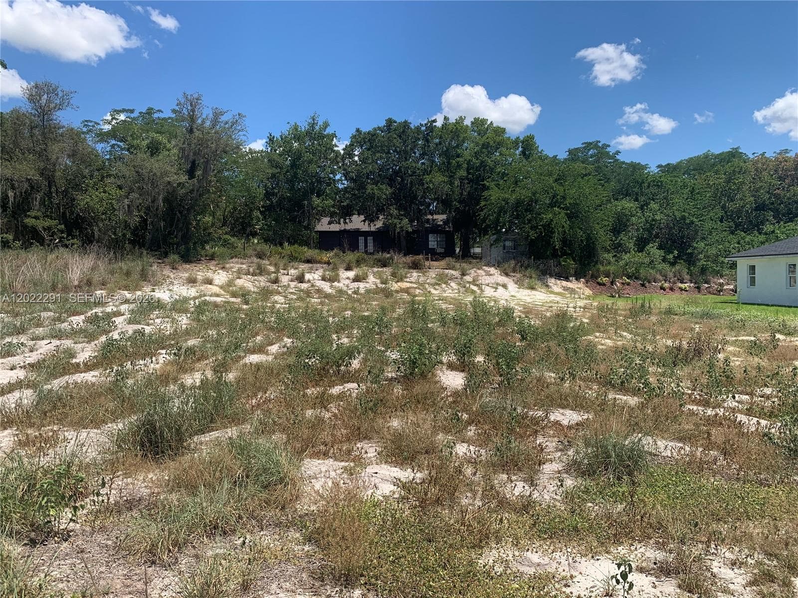 116 CLINTON AVE, Lake Placid, FL 33852 photo 6