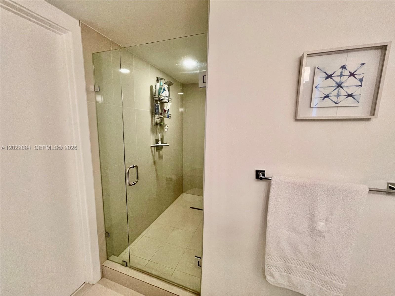 5252 NW 85th Ave # 406, Doral, FL 33166 photo 12