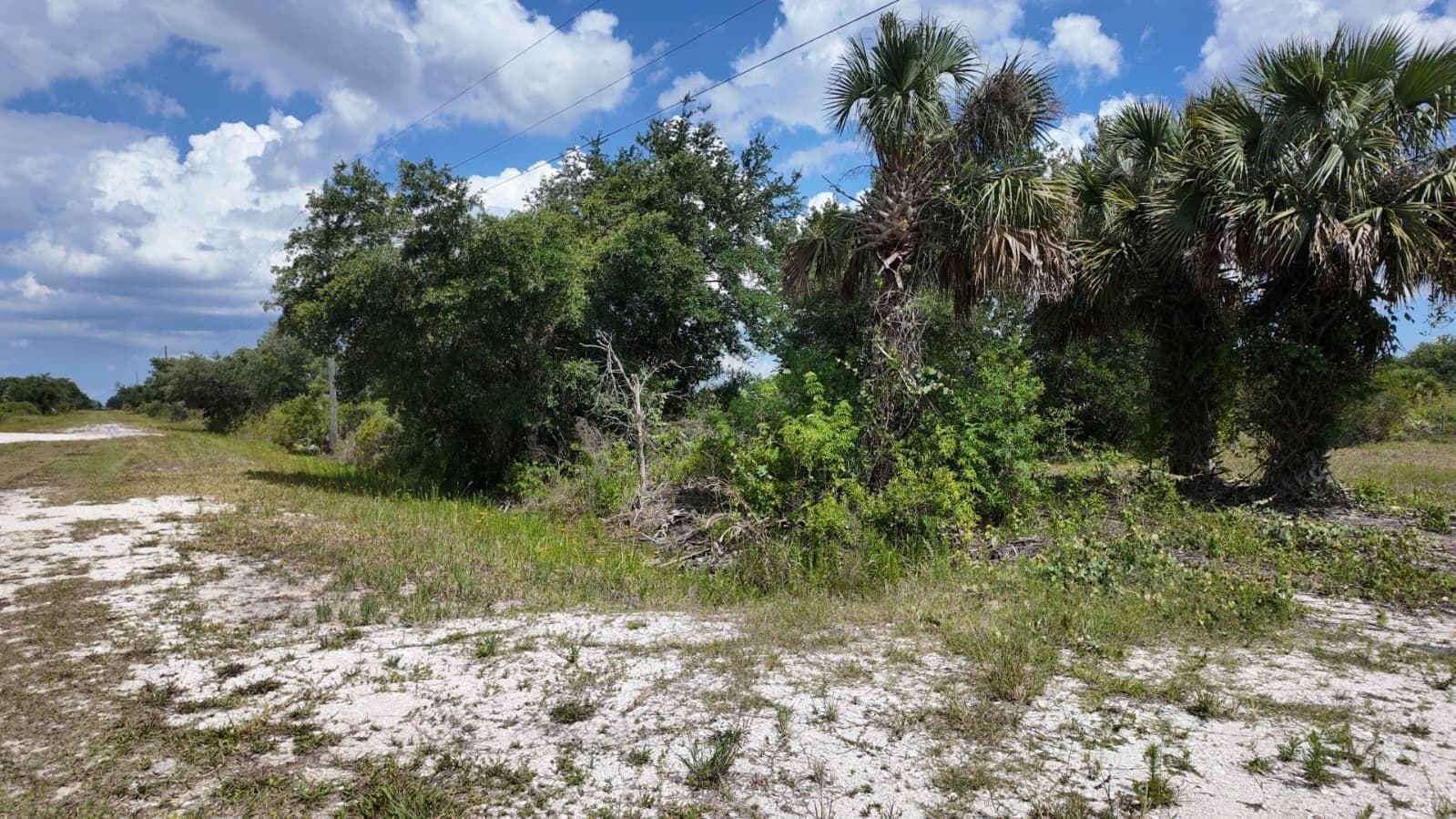 18980 NW 274th Street, Okeechobee, FL 34972 photo 6