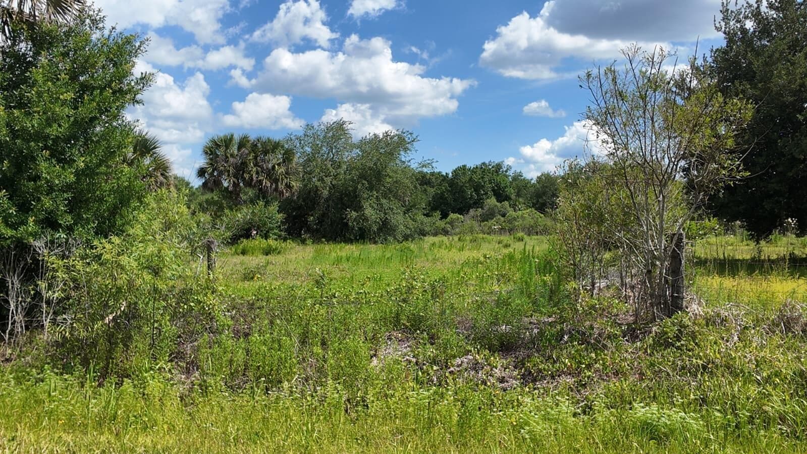 18980 NW 274th Street, Okeechobee, FL 34972 photo 7