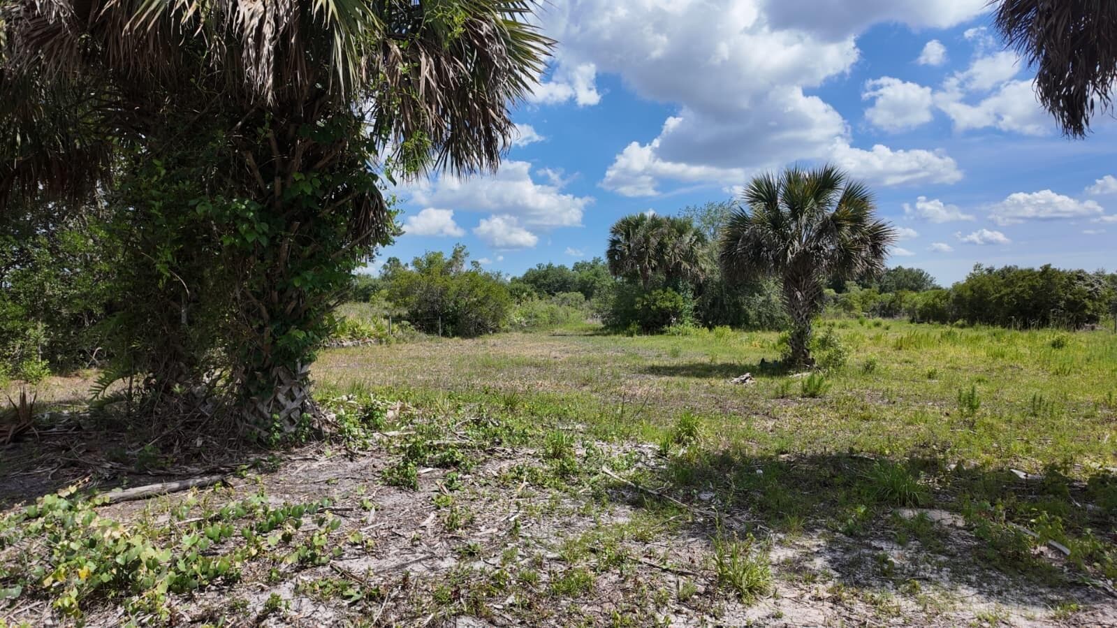 18980 NW 274th Street, Okeechobee, FL 34972 photo 8