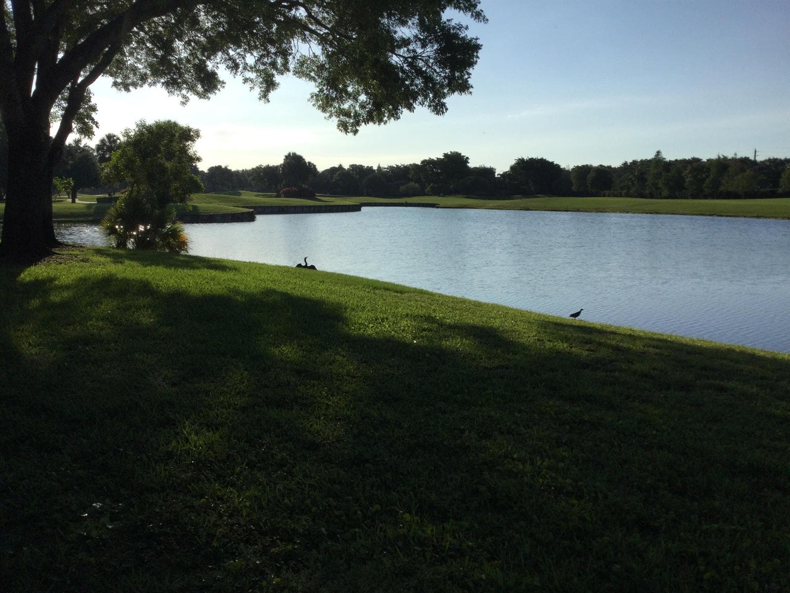 2240 SW 92nd Terrace # 2402, Davie, FL 33324 photo 7