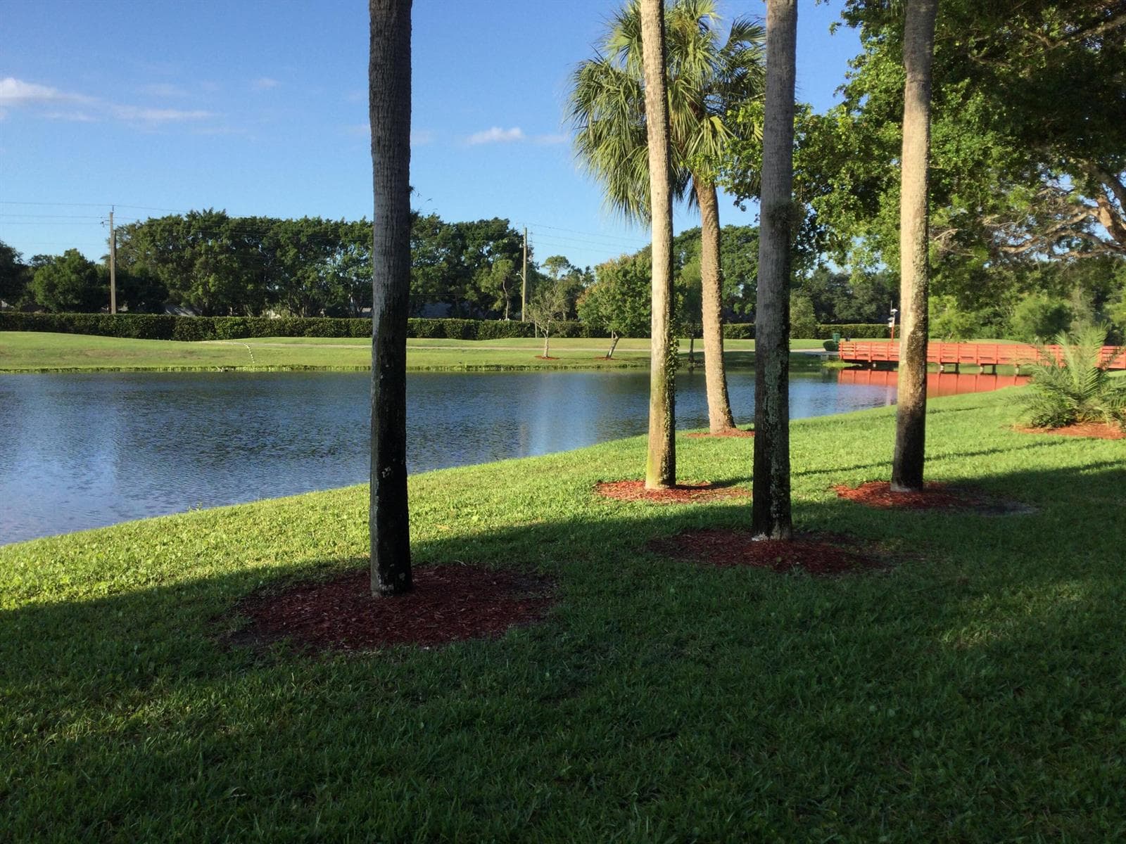 2240 SW 92nd Terrace # 2402, Davie, FL 33324 photo 8