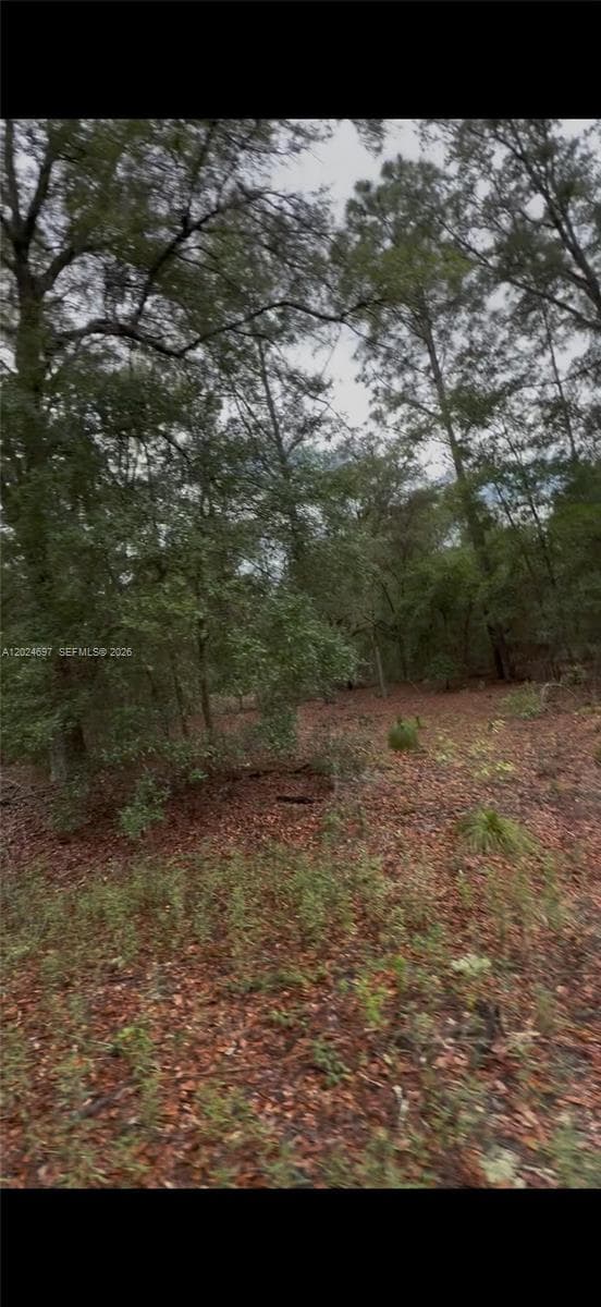 1699 SW 153 Ct, Ocala, FL 34481 photo 2