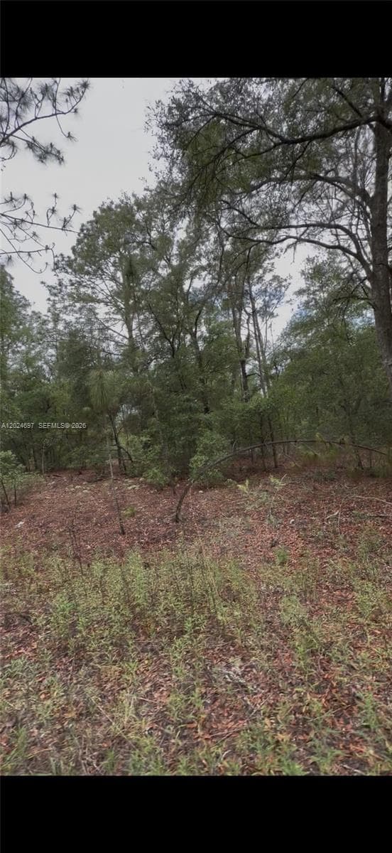 1699 SW 153 Ct, Ocala, FL 34481 photo 3