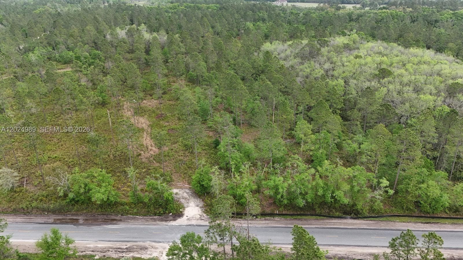 0 SE COUNTY ROAD 25A, Other City - In The State Of Florida, FL 32096 photo 3