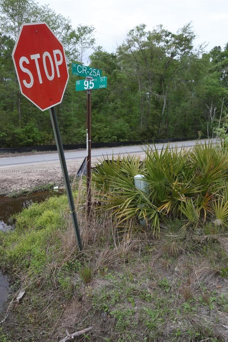 0 SE COUNTY ROAD 25A, Other City - In The State Of Florida, FL 32096 photo 5