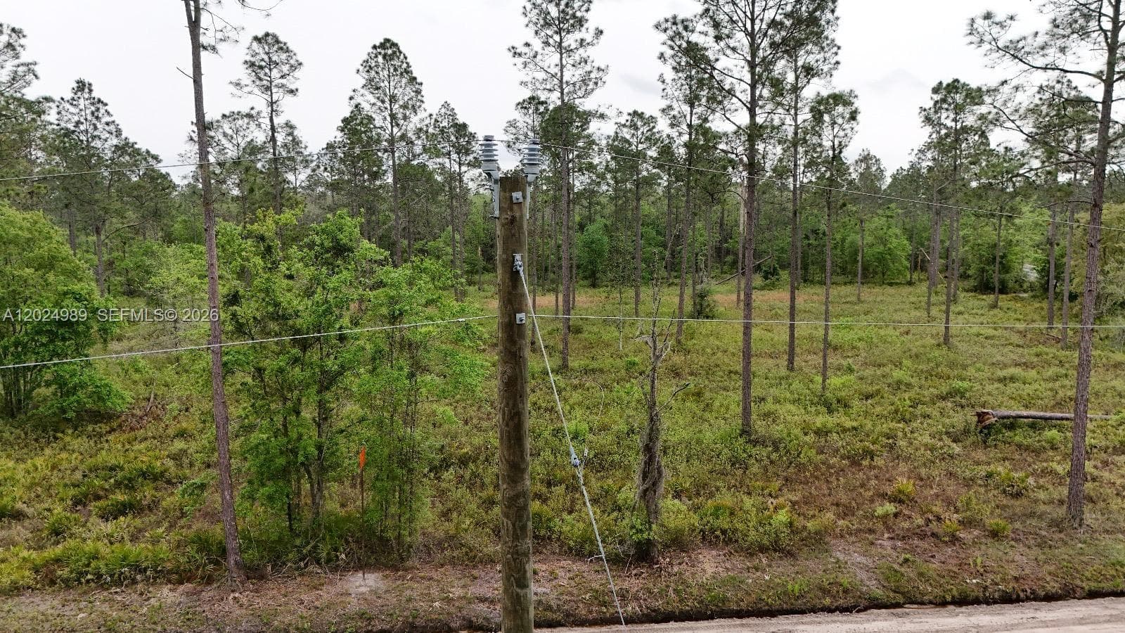 0 SE COUNTY ROAD 25A, Other City - In The State Of Florida, FL 32096 photo 4