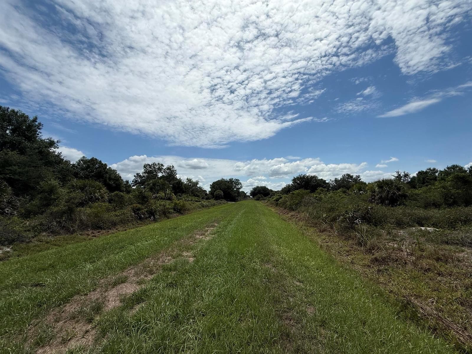 20174 NW 268th Street, Okeechobee, FL 34972 photo 6