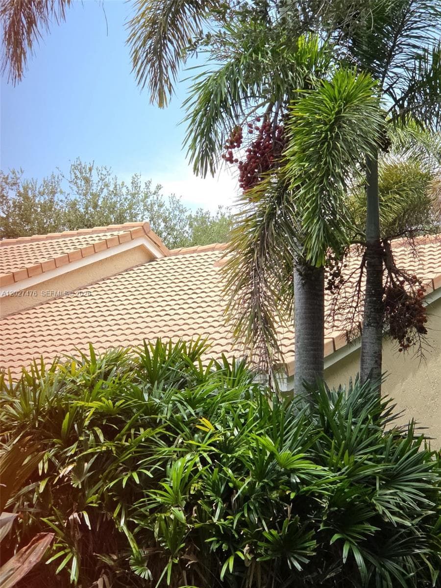 10202 Caracas St, Cooper City, FL 33026 photo 12