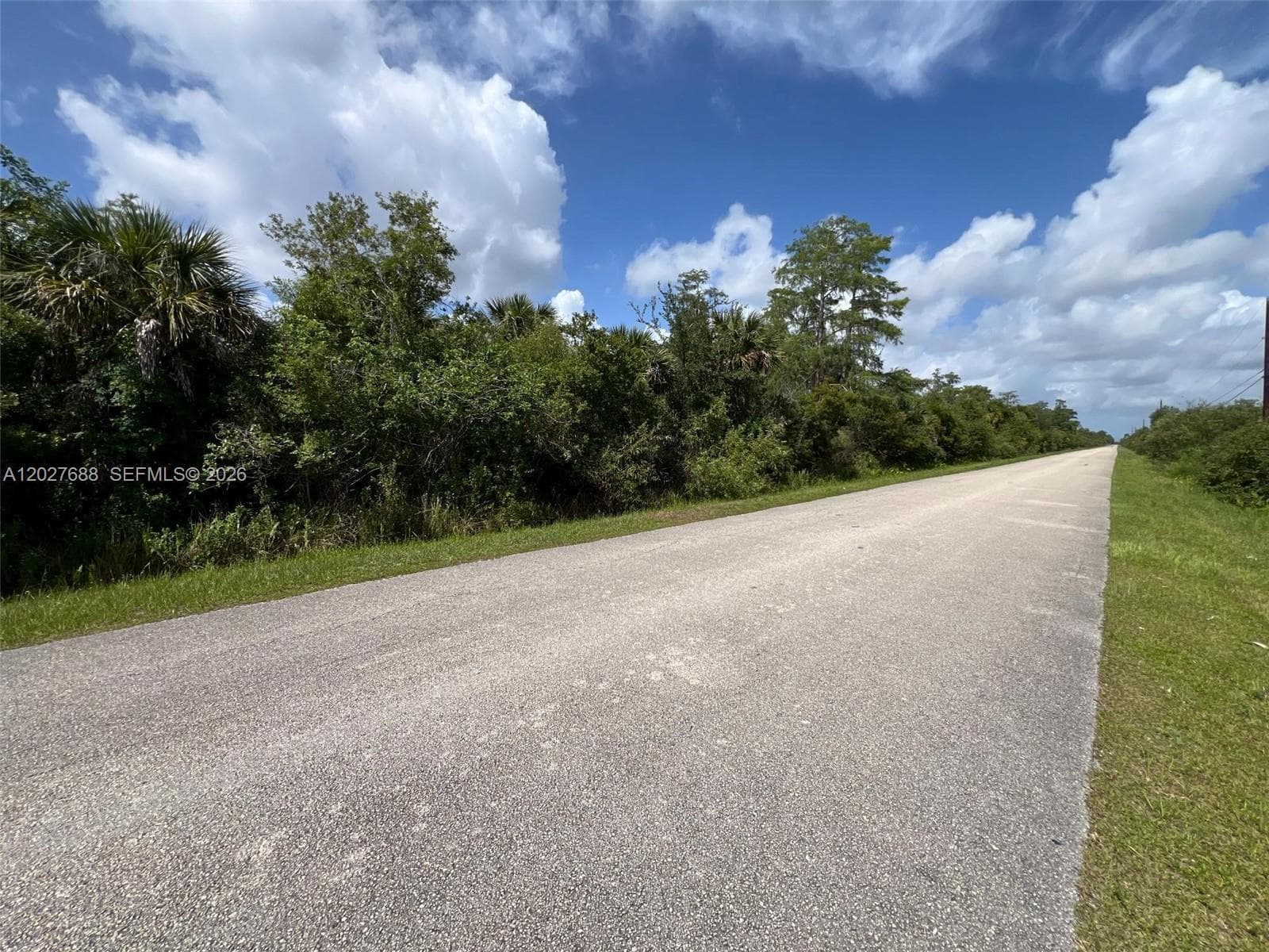 0 37th Avenue NE, Naples, FL 34120 photo 3