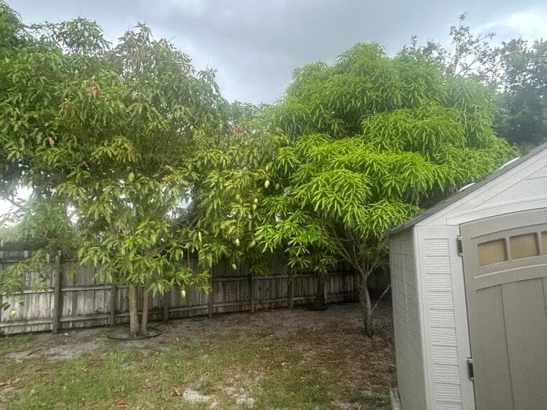 8362 NW 23rd Manor, Coral Springs, FL 33065 photo 12