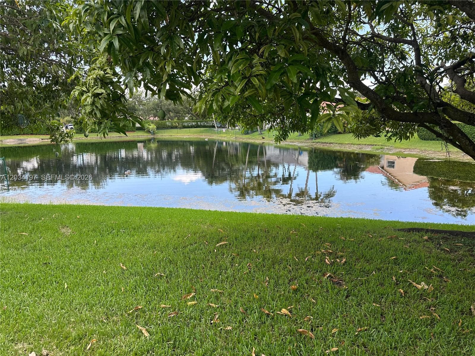 16328 NW 11th St, Pembroke Pines, FL 33028 photo 13