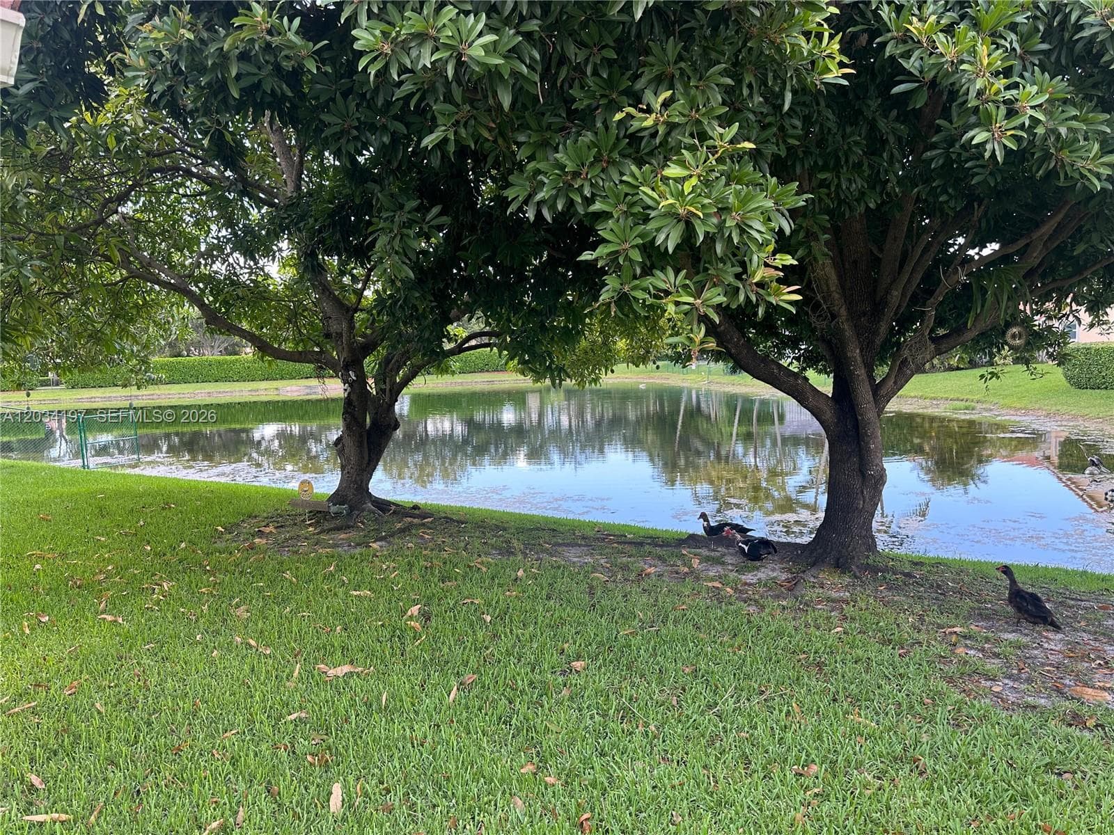 16328 NW 11th St, Pembroke Pines, FL 33028 photo 12