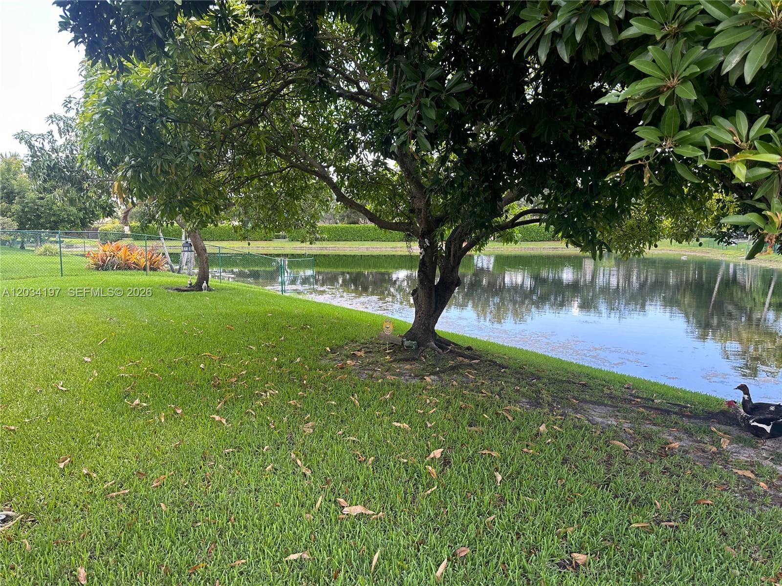 16328 NW 11th St, Pembroke Pines, FL 33028 photo 9