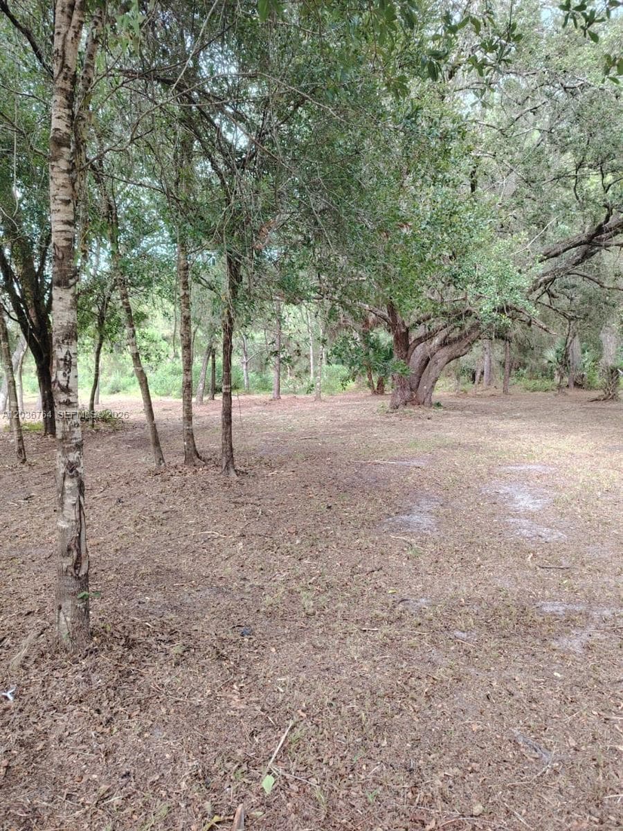 200 Avenida del Centro, Clewiston, FL 33440 photo 6